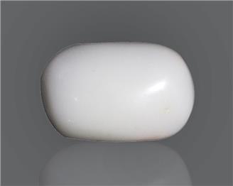 Natural White Coral  12.24 CTS (50430)